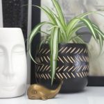 快手网页 x32m3l3r